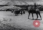 Immagine di I beduini Palestina, 1945, secondo 55 filmato di repertorio 65675038048