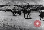 Immagine di I beduini Palestina, 1945, secondo 57 filmato di repertorio 65675038048