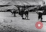 Immagine di I beduini Palestina, 1945, secondo 58 filmato di repertorio 65675038048