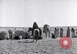 Immagine di Israele Palestina, 1945, secondo 11 filmato di repertorio 65675038049