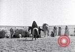 Immagine di Israele Palestina, 1945, secondo 13 filmato di repertorio 65675038049