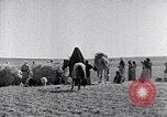 Immagine di Israele Palestina, 1945, secondo 14 filmato di repertorio 65675038049