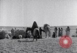 Immagine di Israele Palestina, 1945, secondo 15 filmato di repertorio 65675038049