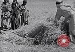 Immagine di Israele Palestina, 1945, secondo 20 filmato di repertorio 65675038049
