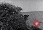 Immagine di Israele Palestina, 1945, secondo 21 filmato di repertorio 65675038049