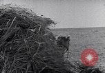Immagine di Israele Palestina, 1945, secondo 22 filmato di repertorio 65675038049