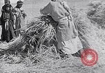 Immagine di Israele Palestina, 1945, secondo 30 filmato di repertorio 65675038049