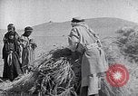 Immagine di Israele Palestina, 1945, secondo 31 filmato di repertorio 65675038049