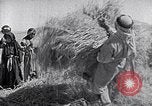 Immagine di Israele Palestina, 1945, secondo 32 filmato di repertorio 65675038049