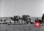 Immagine di Israele Palestina, 1945, secondo 34 filmato di repertorio 65675038049