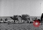 Immagine di Israele Palestina, 1945, secondo 36 filmato di repertorio 65675038049