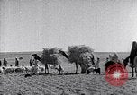 Immagine di Israele Palestina, 1945, secondo 40 filmato di repertorio 65675038049