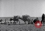 Immagine di Israele Palestina, 1945, secondo 42 filmato di repertorio 65675038049