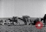 Immagine di Israele Palestina, 1945, secondo 43 filmato di repertorio 65675038049