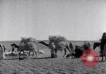 Immagine di Israele Palestina, 1945, secondo 44 filmato di repertorio 65675038049