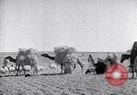 Immagine di Israele Palestina, 1945, secondo 45 filmato di repertorio 65675038049
