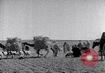 Immagine di Israele Palestina, 1945, secondo 46 filmato di repertorio 65675038049
