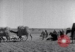 Immagine di Israele Palestina, 1945, secondo 47 filmato di repertorio 65675038049