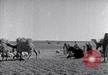 Immagine di Israele Palestina, 1945, secondo 48 filmato di repertorio 65675038049