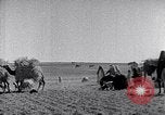 Immagine di Israele Palestina, 1945, secondo 49 filmato di repertorio 65675038049