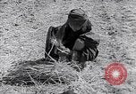 Immagine di Israele Palestina, 1945, secondo 58 filmato di repertorio 65675038049