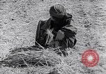 Immagine di Israele Palestina, 1945, secondo 59 filmato di repertorio 65675038049