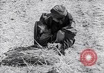 Immagine di Israele Palestina, 1945, secondo 60 filmato di repertorio 65675038049