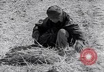 Immagine di Israele Palestina, 1945, secondo 61 filmato di repertorio 65675038049