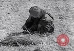 Immagine di Israele Palestina, 1945, secondo 62 filmato di repertorio 65675038049