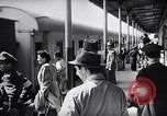 Image of Jews Palestine, 1947, second 33 stock footage video 65675038052