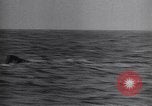 Image sous-marins nazis éliminés et sabordé après Seconde Guerre Mondiale Loch Ryan Ecosse, 1945, de la seconde 33 séquences d'archives historiques vidéo 65675038066