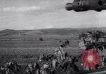 Image of German troops Russia, 1944, second 9 stock footage video 65675038068