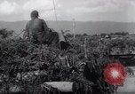Image of German troops Russia, 1944, second 14 stock footage video 65675038068