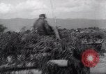 Image of German troops Russia, 1944, second 15 stock footage video 65675038068