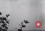 Image of German troops Russia, 1944, second 41 stock footage video 65675038068