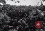 Image of German troops Republic of San Marino, 1944, second 41 stock footage video 65675038069