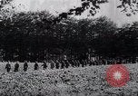 Image of Germans capture Allies in Battle of Arnhem World War 2 Arnhem Netherlands, 1944, second 1 stock footage video 65675038072