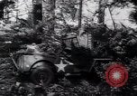 Image of Germans capture Allies in Battle of Arnhem World War 2 Arnhem Netherlands, 1944, second 4 stock footage video 65675038072