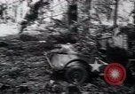 Image of Germans capture Allies in Battle of Arnhem World War 2 Arnhem Netherlands, 1944, second 5 stock footage video 65675038072