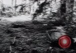 Image of Germans capture Allies in Battle of Arnhem World War 2 Arnhem Netherlands, 1944, second 6 stock footage video 65675038072