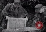 Image of Germans capture Allies in Battle of Arnhem World War 2 Arnhem Netherlands, 1944, second 12 stock footage video 65675038072