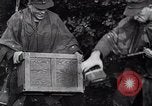 Image of Germans capture Allies in Battle of Arnhem World War 2 Arnhem Netherlands, 1944, second 13 stock footage video 65675038072