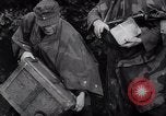 Image of Germans capture Allies in Battle of Arnhem World War 2 Arnhem Netherlands, 1944, second 14 stock footage video 65675038072