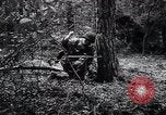 Image of Germans capture Allies in Battle of Arnhem World War 2 Arnhem Netherlands, 1944, second 43 stock footage video 65675038072