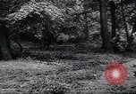Image of Germans capture Allies in Battle of Arnhem World War 2 Arnhem Netherlands, 1944, second 44 stock footage video 65675038072