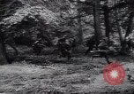 Image of Germans capture Allies in Battle of Arnhem World War 2 Arnhem Netherlands, 1944, second 46 stock footage video 65675038072
