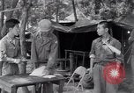 Image of North Korean prisoner South Korea, 1951, second 12 stock footage video 65675038077