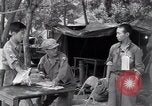 Image of North Korean prisoner South Korea, 1951, second 15 stock footage video 65675038077