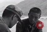 Image of North Korean prisoner South Korea, 1951, second 43 stock footage video 65675038077