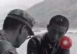 Image of North Korean prisoner South Korea, 1951, second 49 stock footage video 65675038077